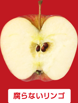 エニシーグローパック　美容成分01/ハリ　りんご果実培養細胞エキス