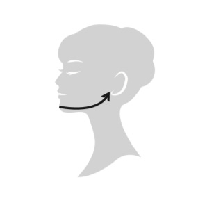 エレクトロン エブリワン　デンキバリブラシ（電気バリブラシ）　顔 使用方法3　フェイスライン2