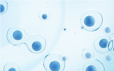 LPS化ヒト幹細胞培養液